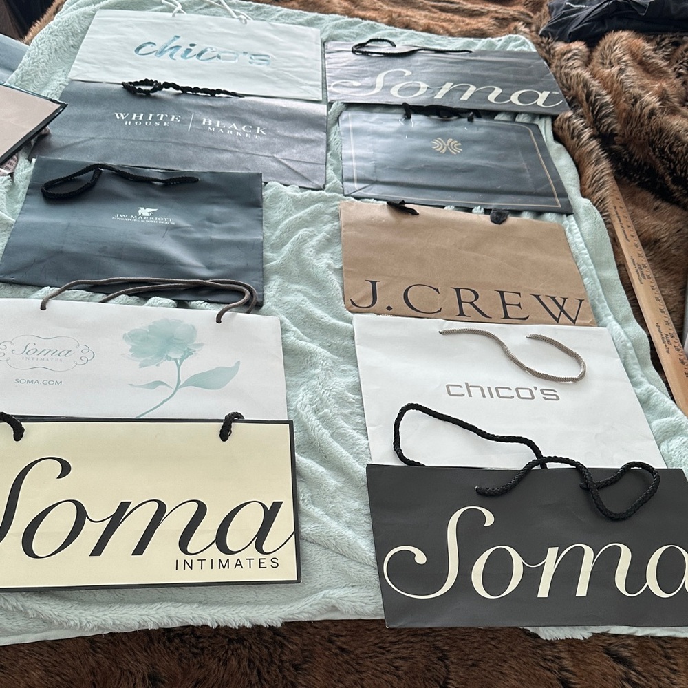 10 Assorted Empty Brand Shopping Bags